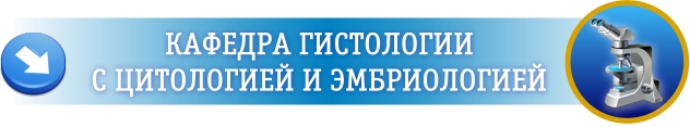 Сдо кяхтинский филиал. СДО ПИМУ. Межрегиональный эндокринологический центр ПИМУ. СДО пимунн. СДО ПИМУ официальный сайт.